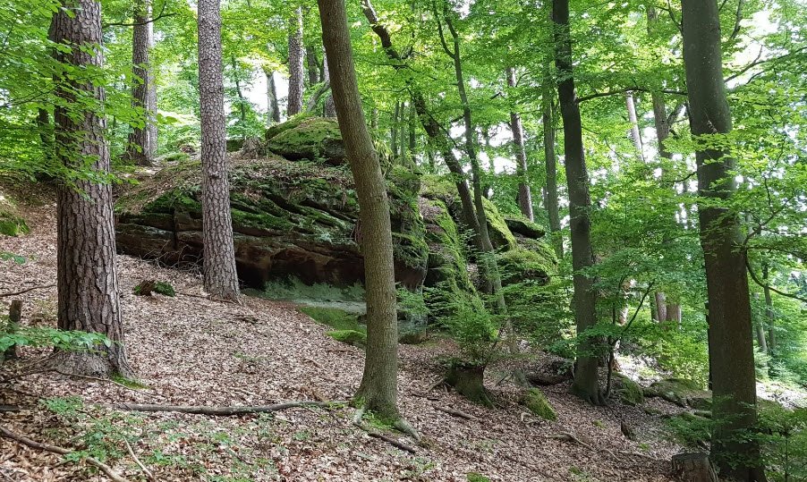 Burgruine Lichtenstein, Osterode am Harz, Germany, Germany